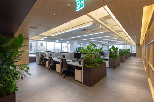 合肥办公室装修设计的7个思路，最大化提高团队工作效率